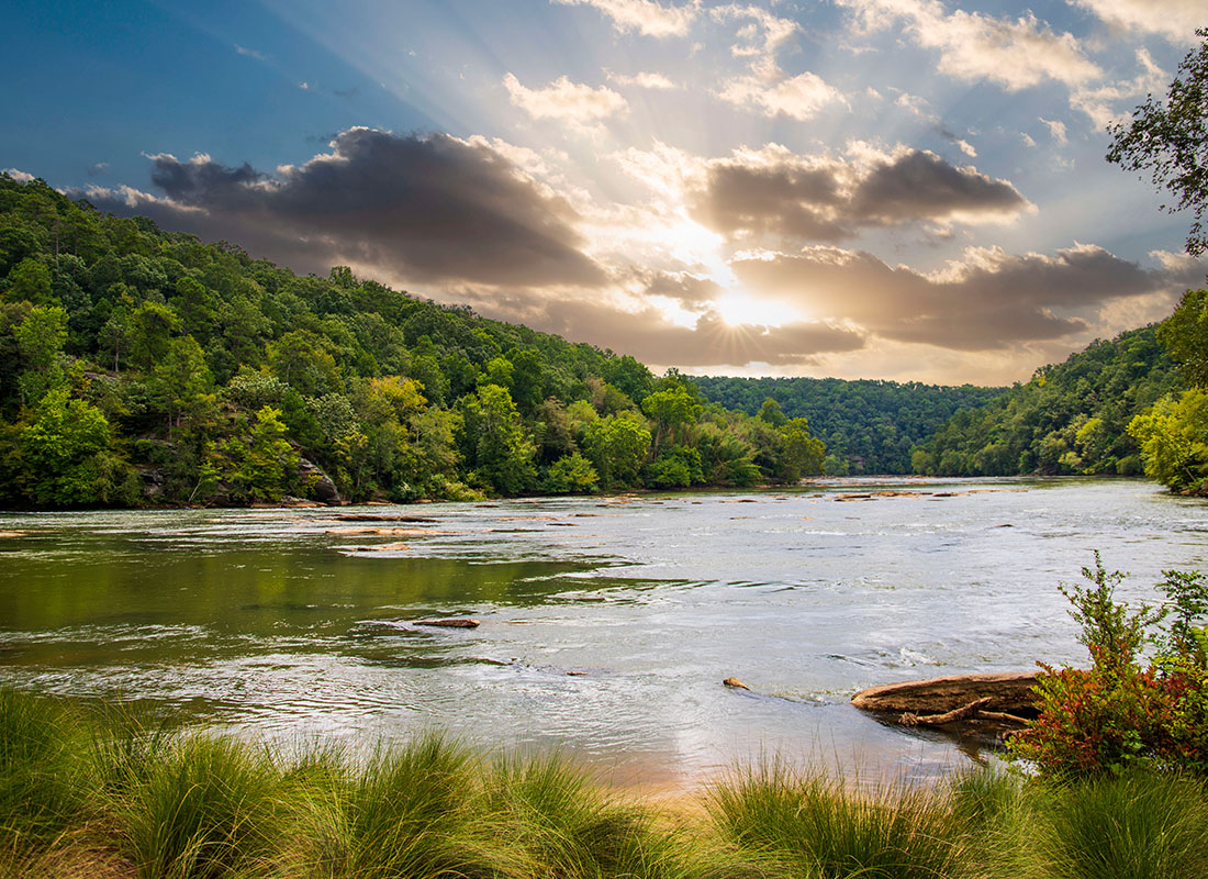 About Our Agency - Summer Landscape Along the Chattahoochee River With Flowing Water Surrounded by Lush Green Trees